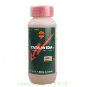 Tatamida